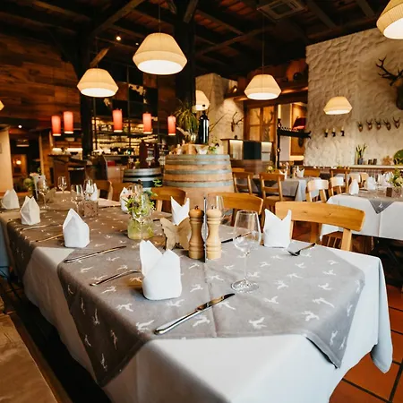 Hotel Hirsch-3